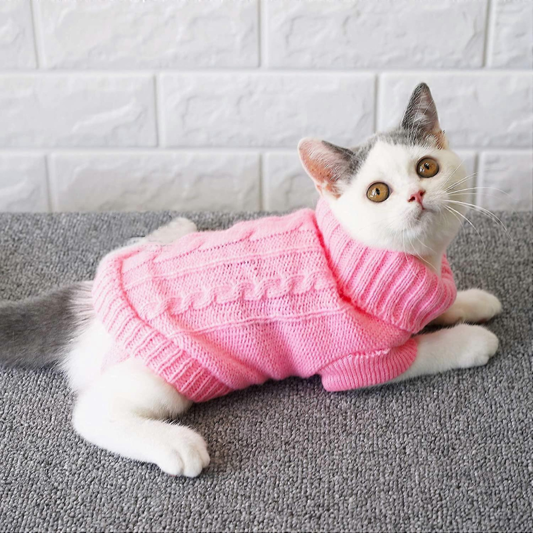 Pet Apparel & Accessories