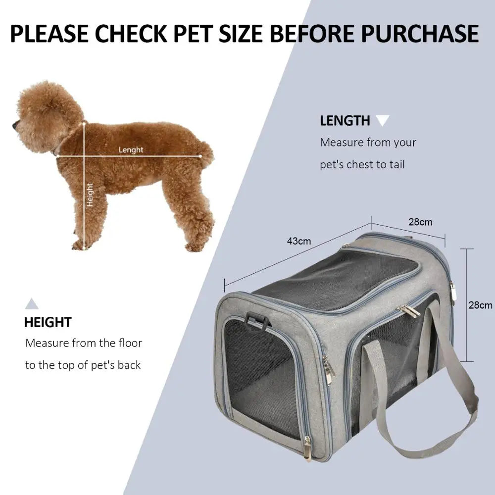 Airline-Approved Pet Carrier – Soft-Sided Dog & Cat Travel Backpack