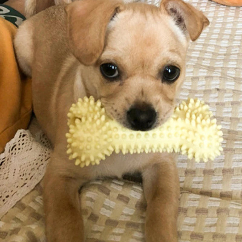 TPR Chew Toy for Small Dogs – Bite-Resistant Interactive Knot