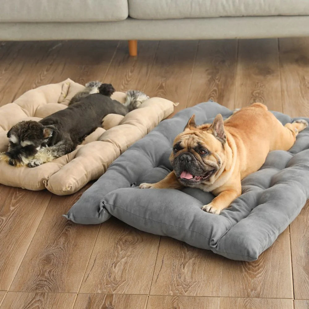 3-in-1 Pet Bed – Warm Sofa & Cushion for Dogs and Cats