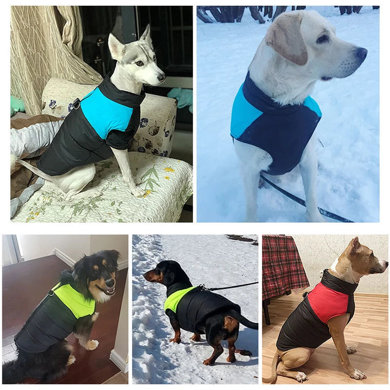 Waterproof Winter Dog Coat Jacket