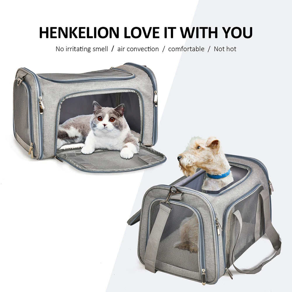 Airline-Approved Pet Carrier – Soft-Sided Dog & Cat Travel Backpack
