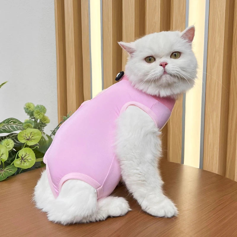 Pet Surgery Recovery Suit