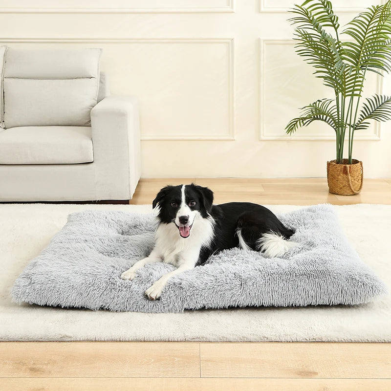 Plush Pet Bed – Soft Cushion & Basket for Dogs and Cats