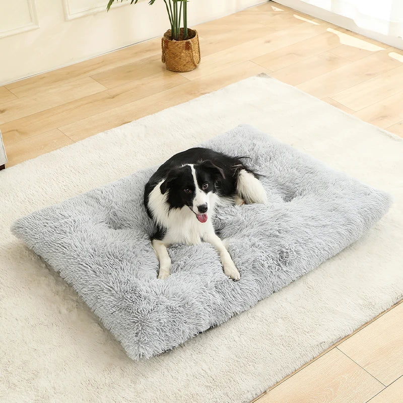 Plush Pet Bed – Soft Cushion & Basket for Dogs and Cats
