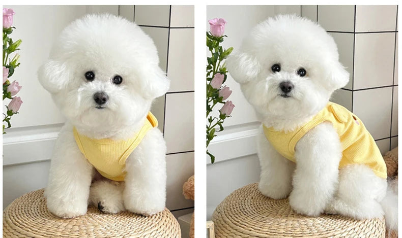 Breathable Dog Vest – Thin Cute Clothes for Small Dogs & Puppies