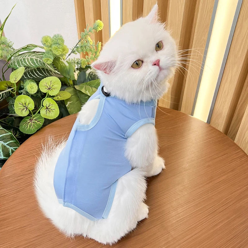 Pet Surgery Recovery Suit