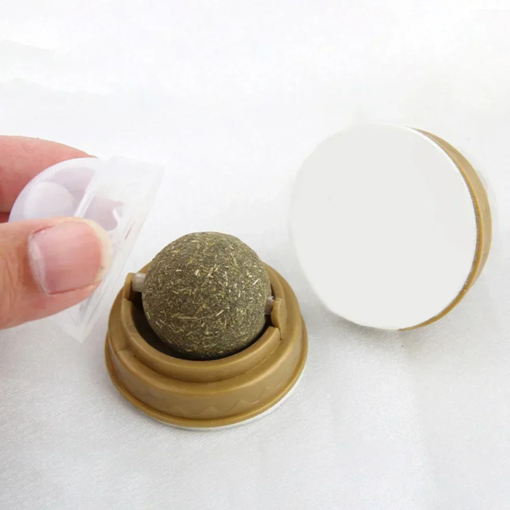 Edible Catnip Ball Toy – Interactive Treat for Cats