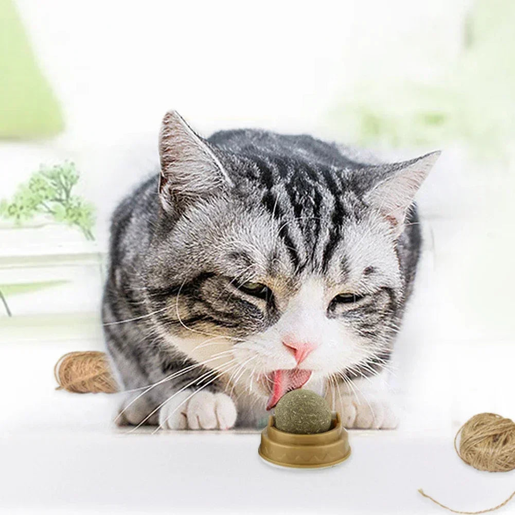 Edible Catnip Ball Toy – Interactive Treat for Cats