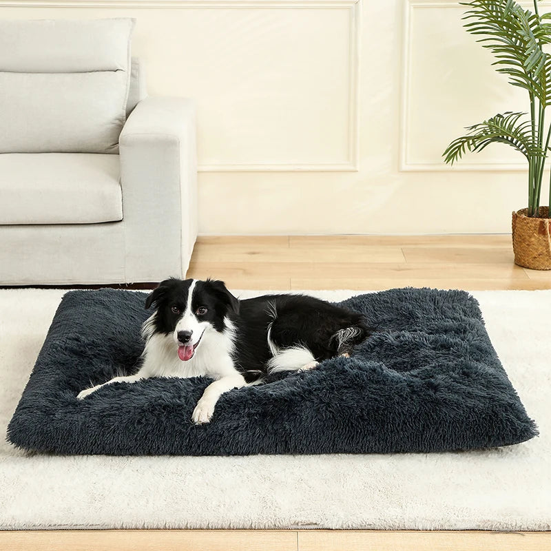 Plush Pet Bed – Soft Cushion & Basket for Dogs and Cats