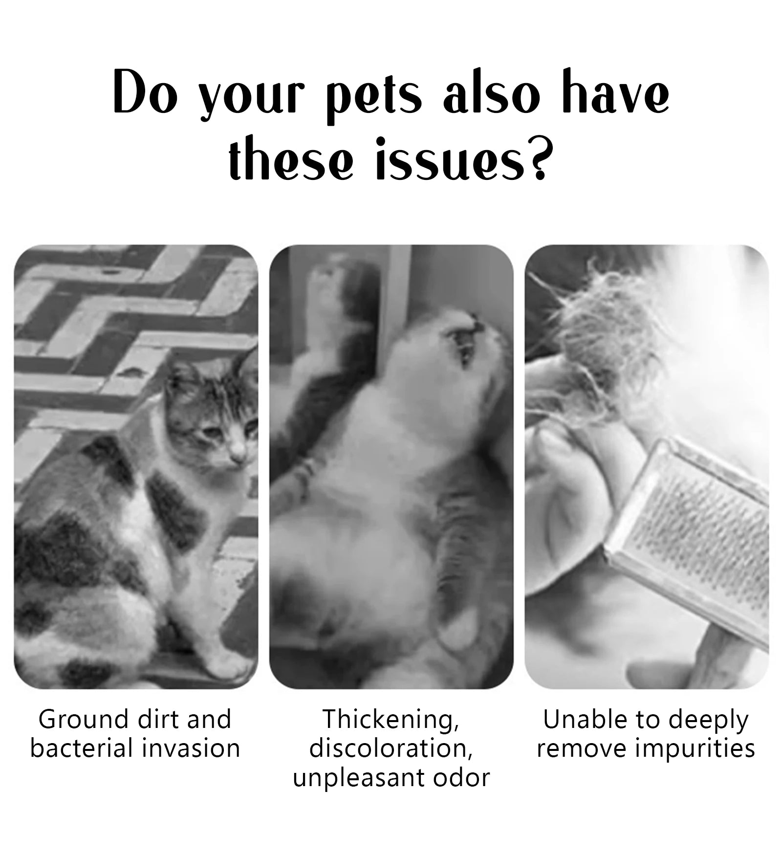 Pet Steam Massage Comb – Safe Hair Removal Brush for Dogs & Cats