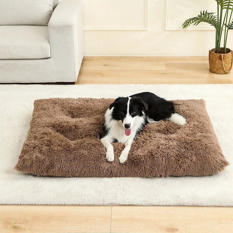 Plush Pet Bed – Soft Cushion & Basket for Dogs and Cats