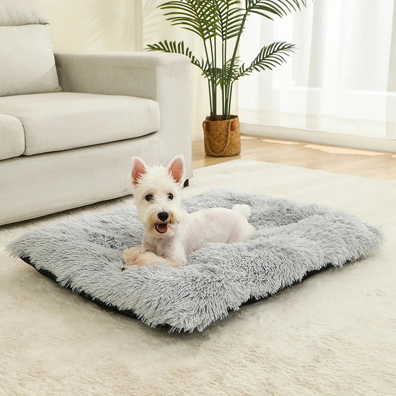 Plush Pet Bed – Soft Cushion & Basket for Dogs and Cats