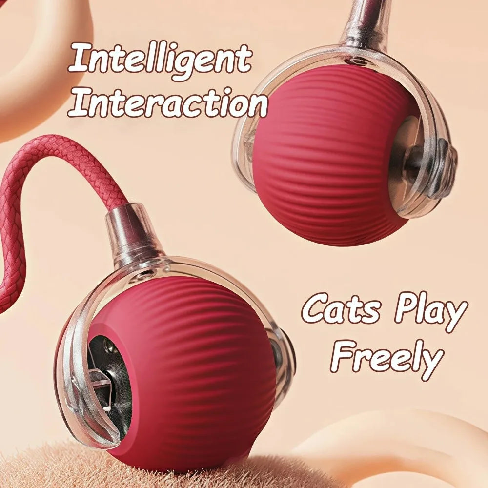 Automatic Interactive Cat Rolling Ball – Smart Pet Toy