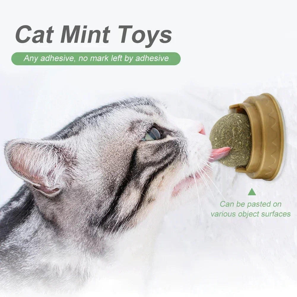 Edible Catnip Ball Toy – Interactive Treat for Cats