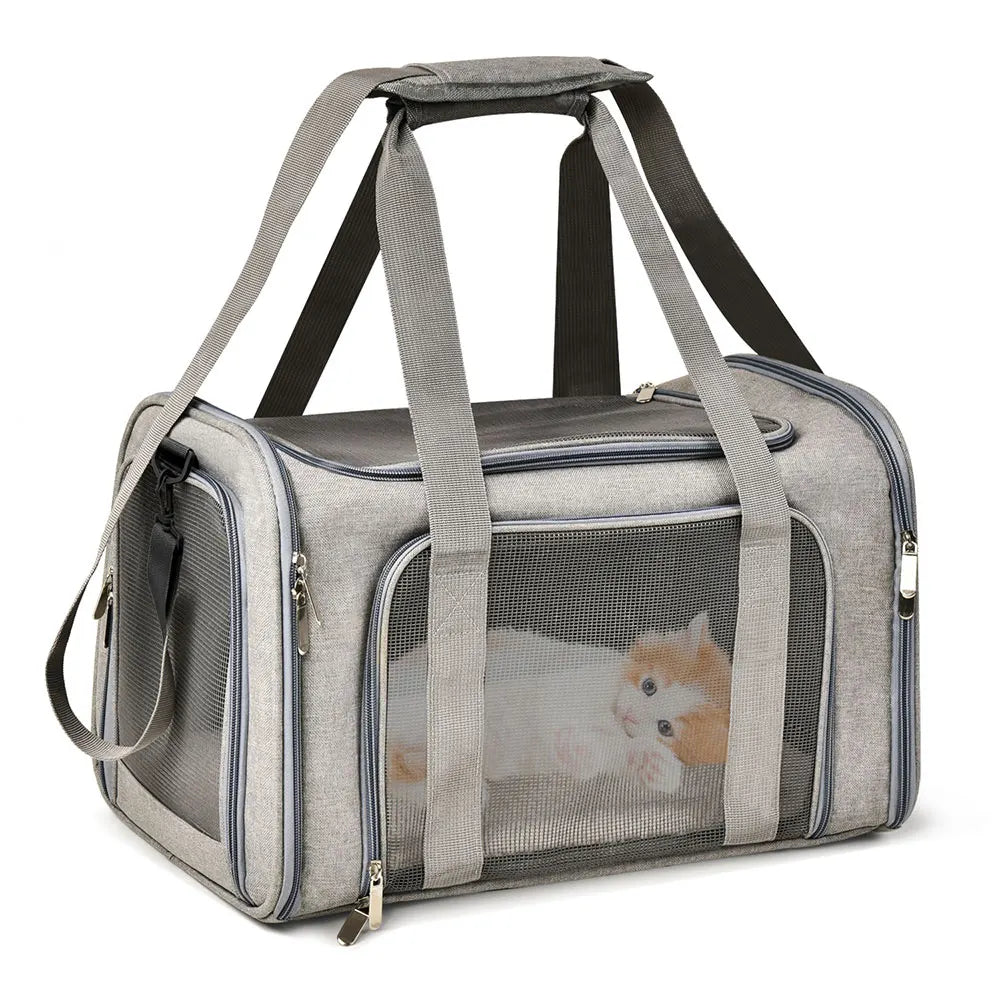 Airline-Approved Pet Carrier – Soft-Sided Dog & Cat Travel Backpack