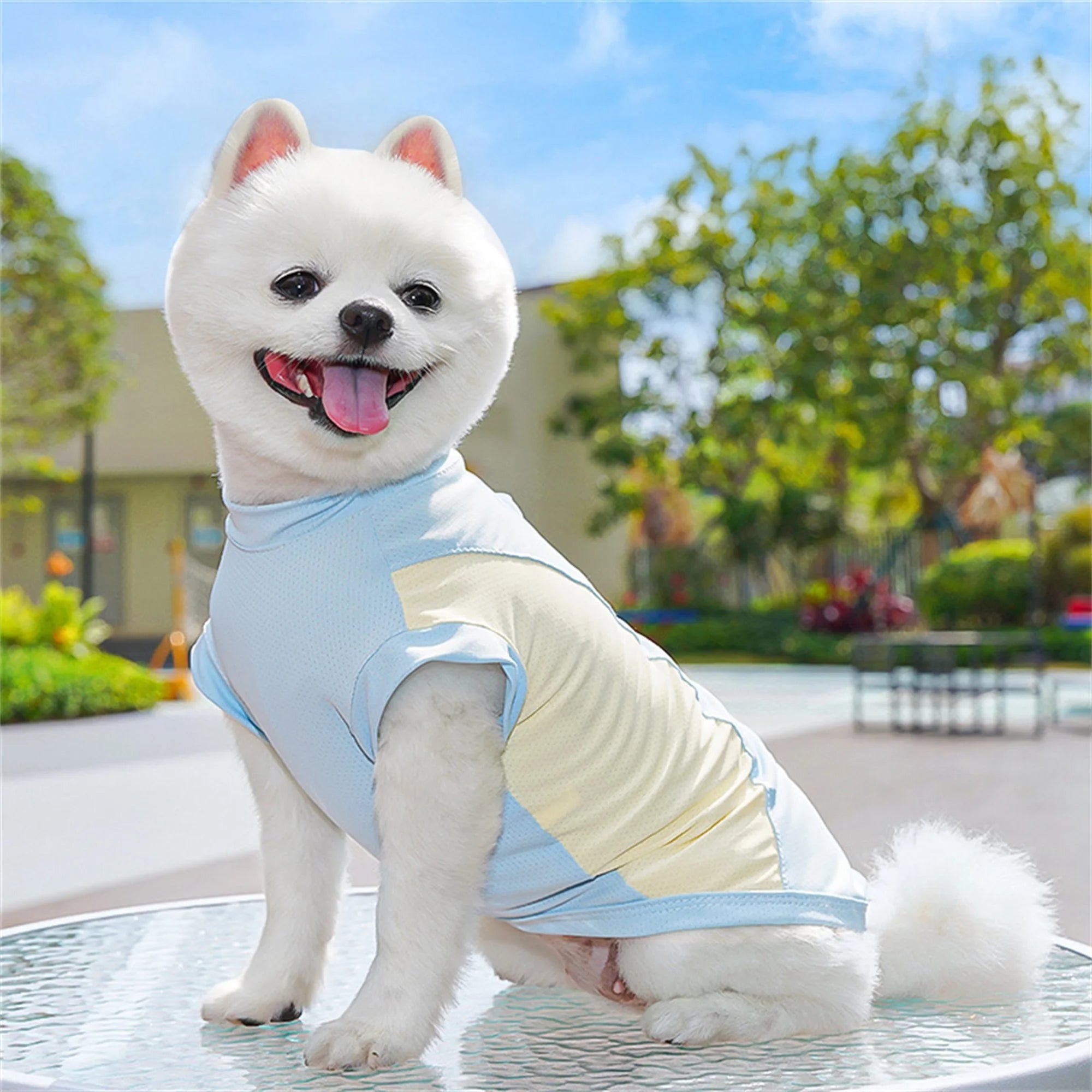 Cooling Dog & Cat T-Shirt – Lightweight Ice Silk Pet Tank Top