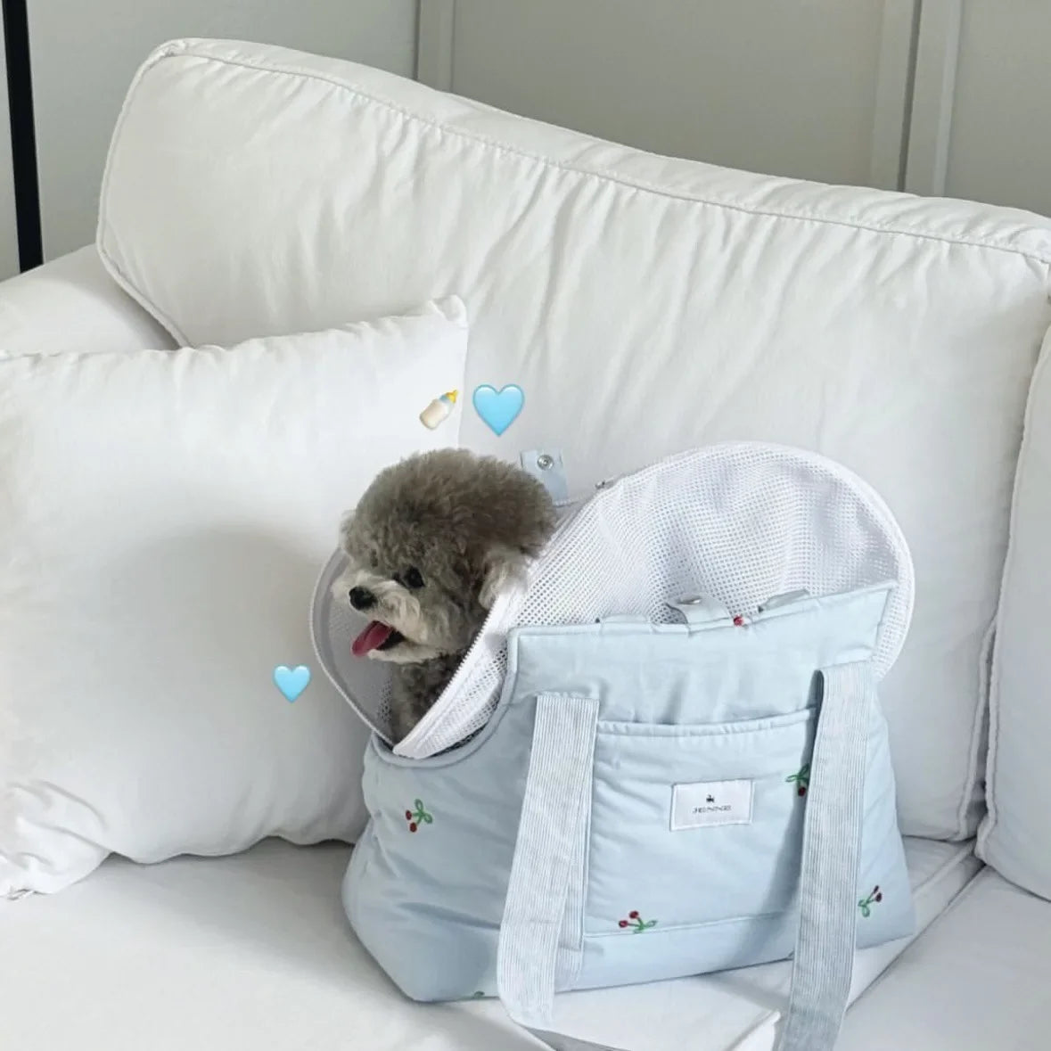 Large Capacity Pet Carrier Bag – Breathable Dog & Cat Shoulder Backpack