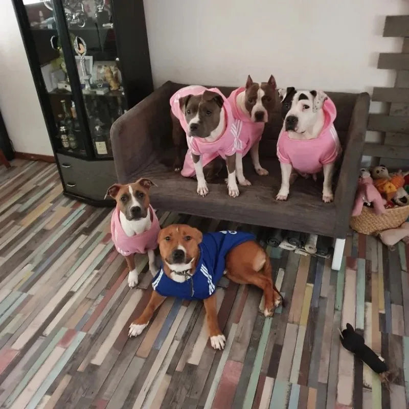 Warm Dog Hoodie Jacket