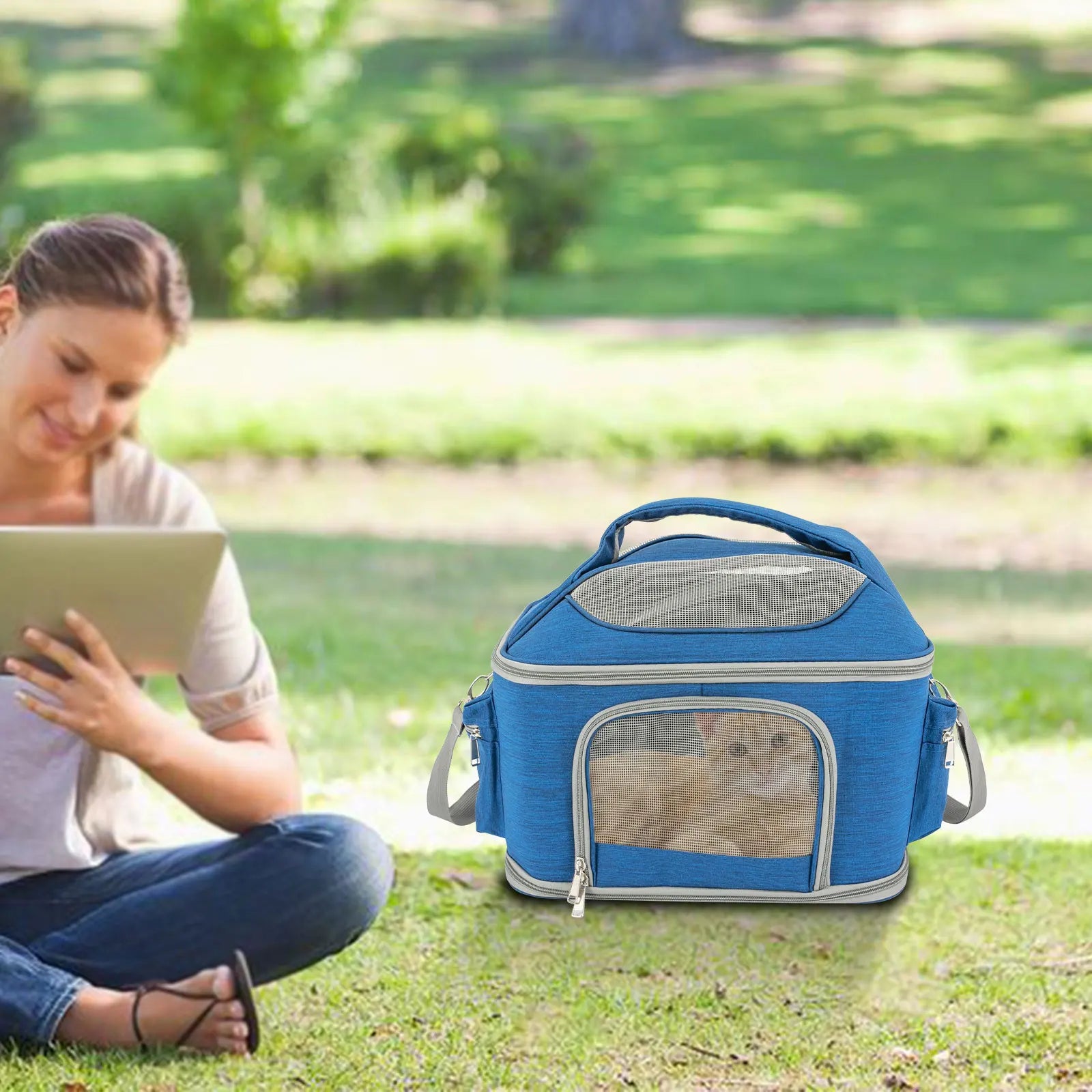 Collapsible Pet Carrier – Waterproof Oxford Travel Bag for Cats (7kg)