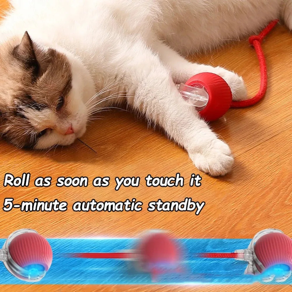 Automatic Interactive Cat Rolling Ball – Smart Pet Toy