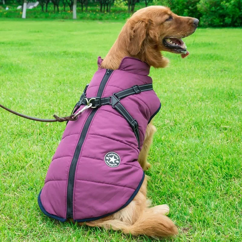 Large Dog Winter Jacket – Waterproof Warm Coat with Harness