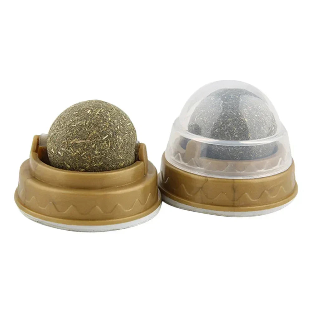 Edible Catnip Ball Toy – Interactive Treat for Cats