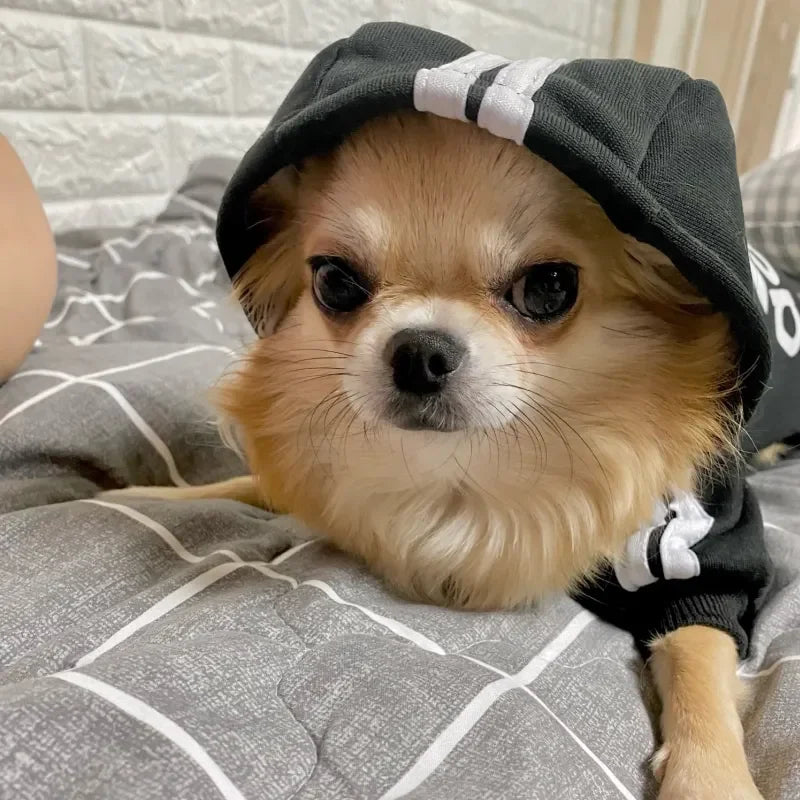 Warm Dog Hoodie Jacket