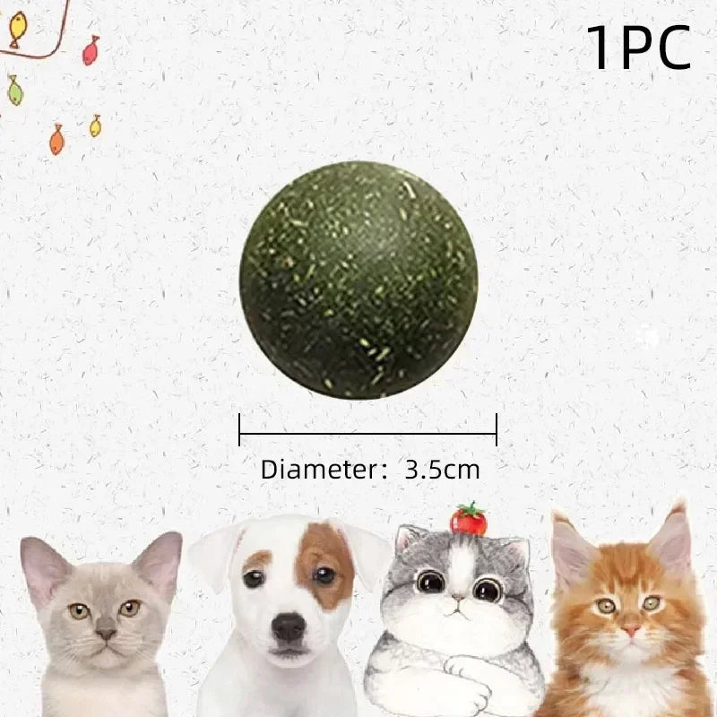 Edible Catnip Ball Toy – Interactive Treat for Cats