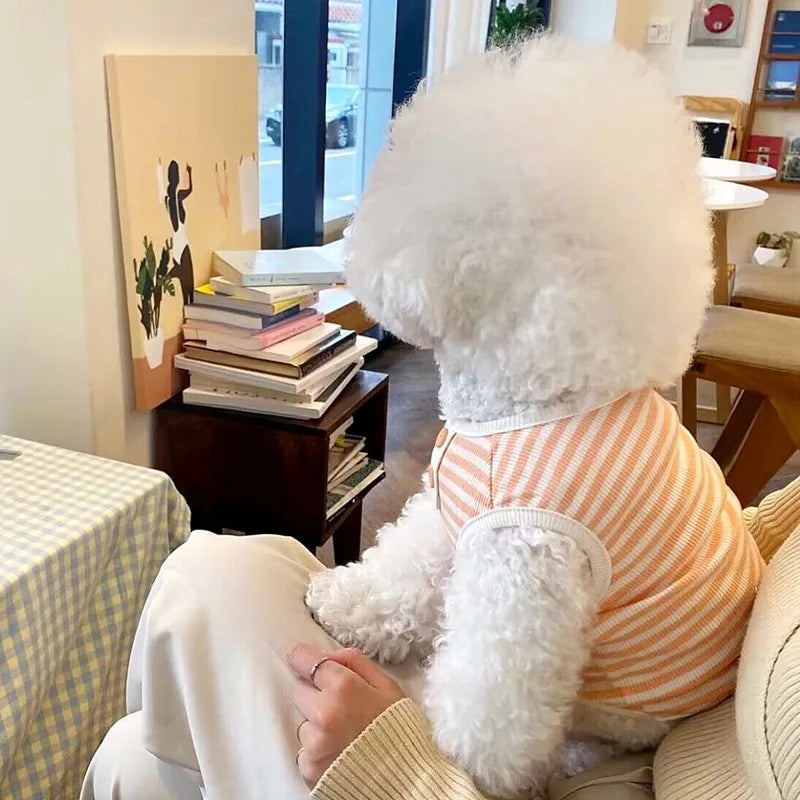 Striped Pet Sweatshirt – Soft Summer Vest for Small Dogs & Puppies