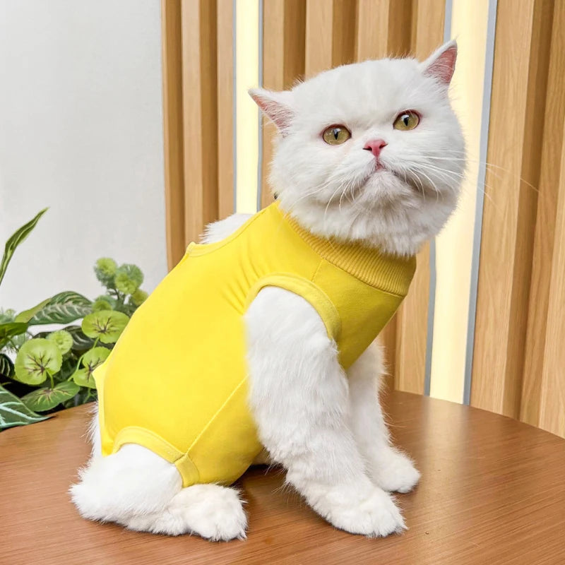 Pet Surgery Recovery Suit