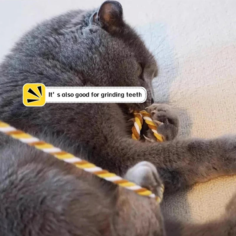 Cat Teaser Wand – Interactive Satin Ribbon Play Stick for Kittens