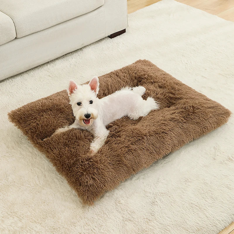 Plush Pet Bed – Soft Cushion & Basket for Dogs and Cats