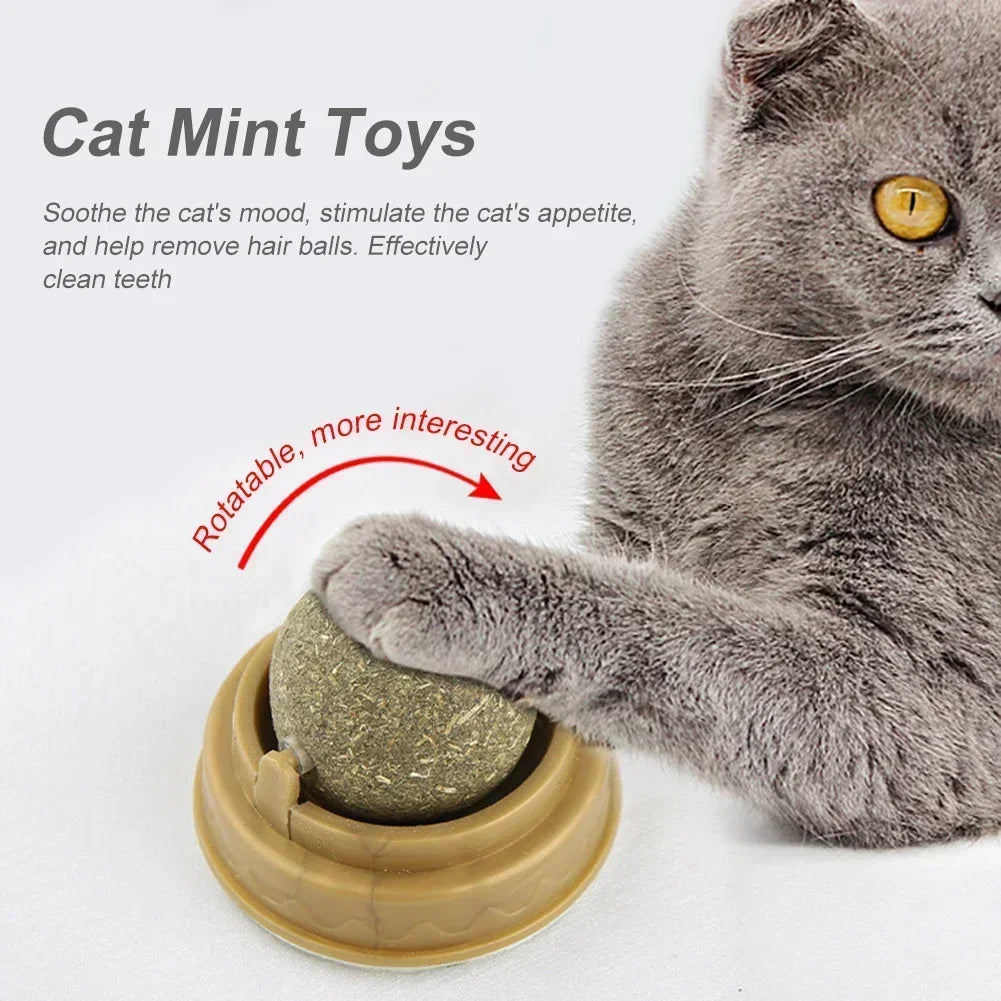 Edible Catnip Ball Toy – Interactive Treat for Cats
