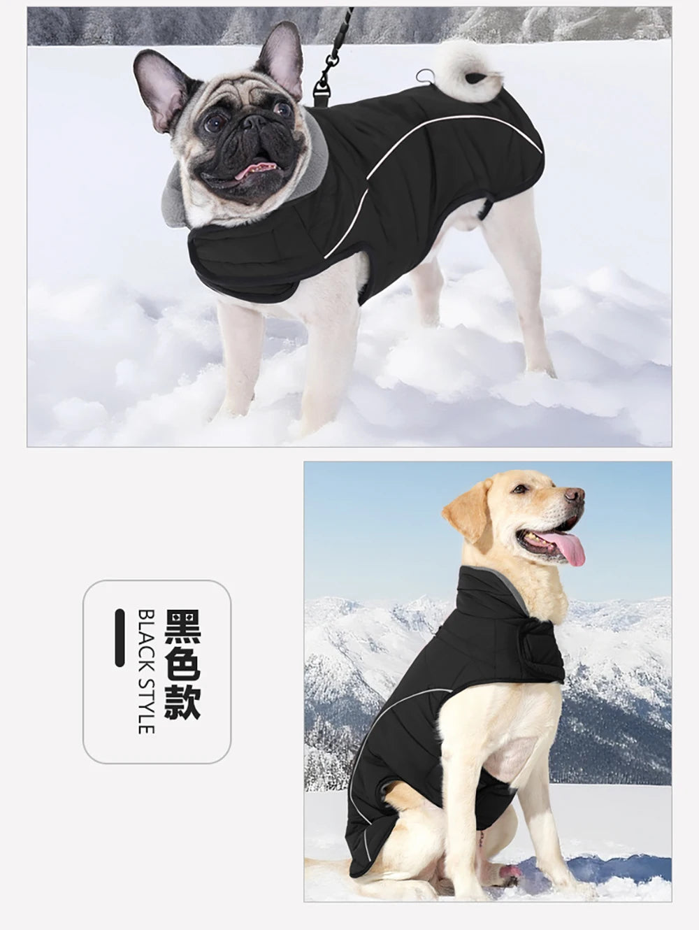 Waterproof Reflective Dog Winter Jacket – Warm Outdoor Coat for Medium & Large Dogs