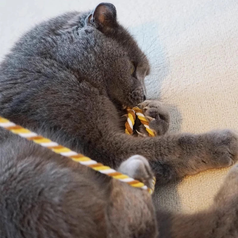 Cat Teaser Wand – Interactive Satin Ribbon Play Stick for Kittens