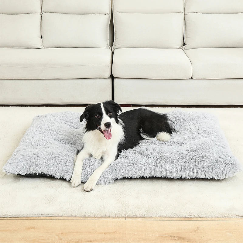 Plush Pet Bed – Soft Cushion & Basket for Dogs and Cats