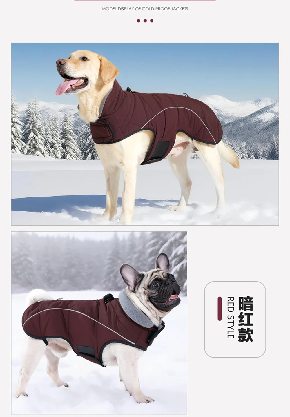 Waterproof Reflective Dog Winter Jacket – Warm Outdoor Coat for Medium & Large Dogs