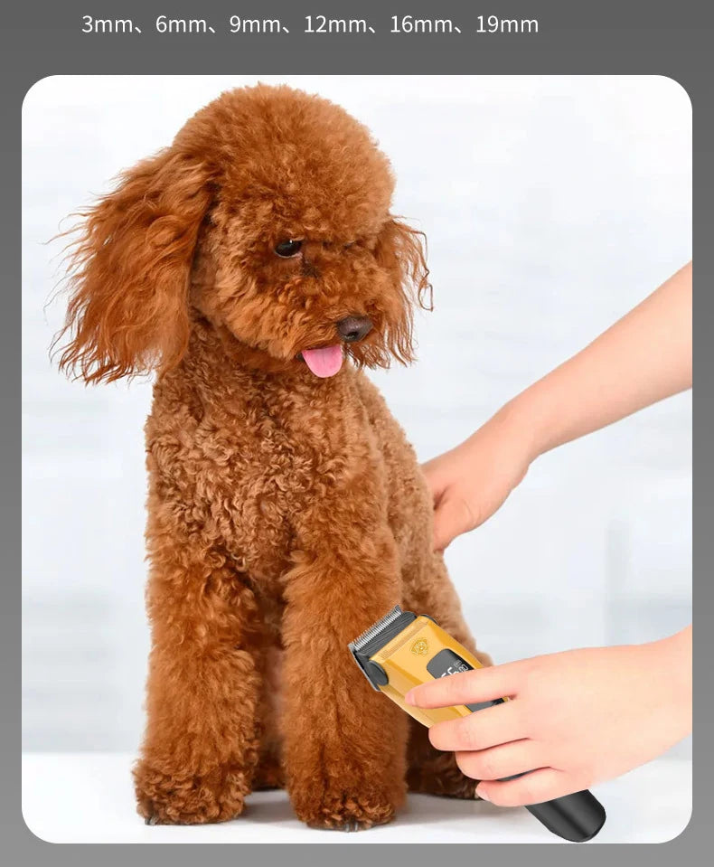 Professional Pet Hair Clipper – Rechargeable Dog & Cat Trimmer