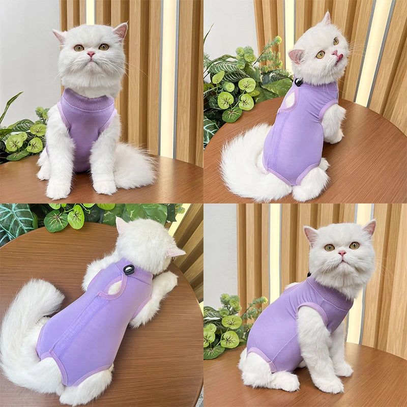 Pet Surgery Recovery Suit