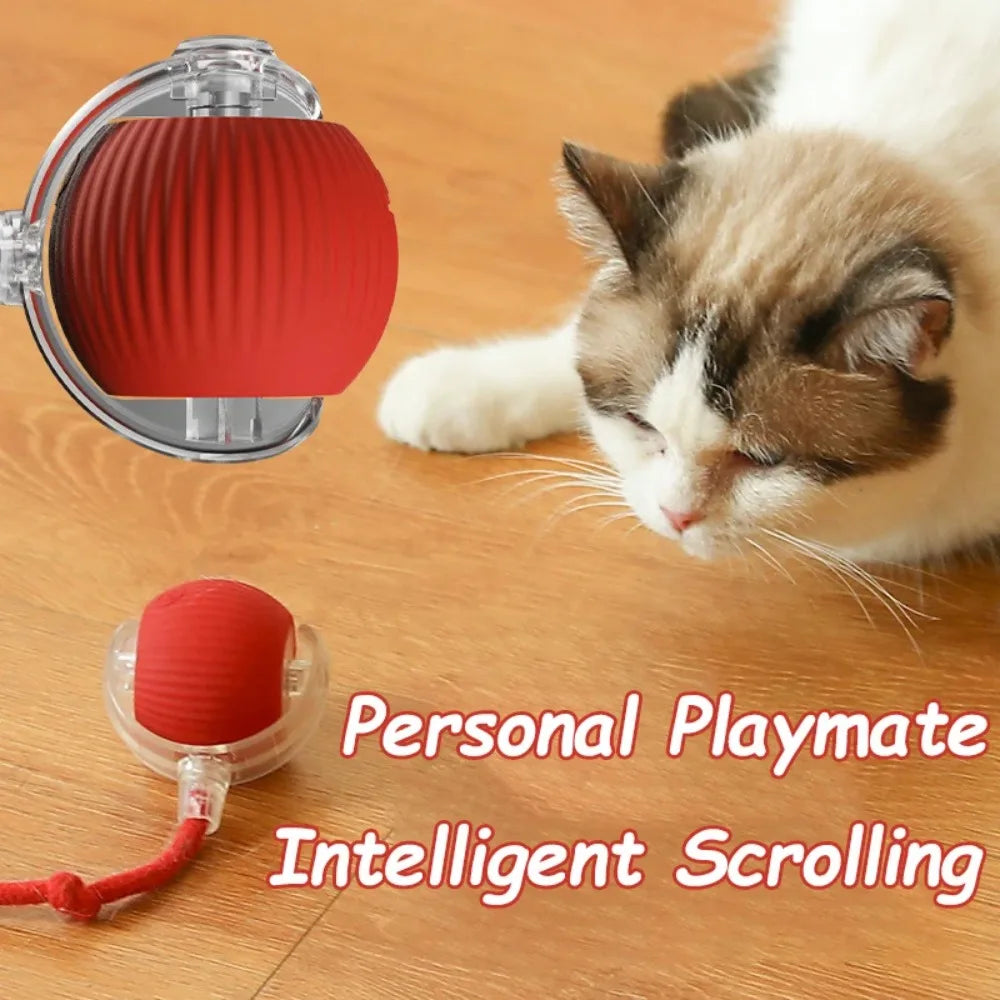Automatic Interactive Cat Rolling Ball – Smart Pet Toy