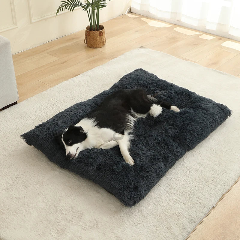 Plush Pet Bed – Soft Cushion & Basket for Dogs and Cats