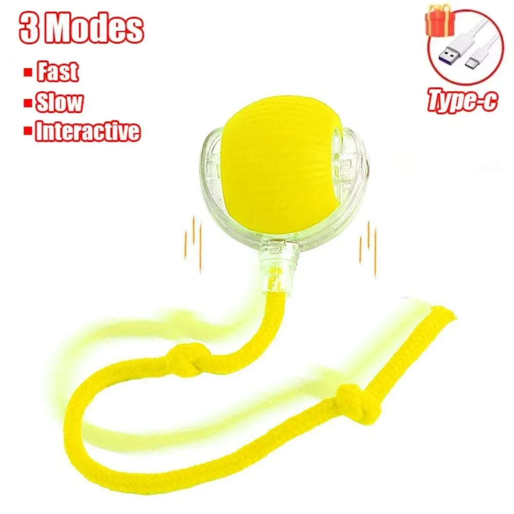 Automatic Interactive Cat Rolling Ball – Smart Pet Toy