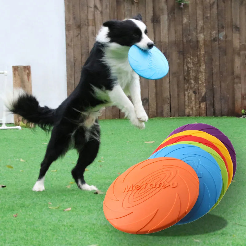 Bite-Resistant Dog Flying Disc – Durable Fetch Toy