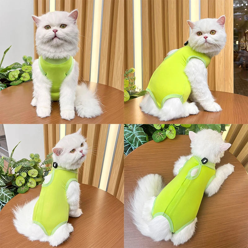 Pet Surgery Recovery Suit
