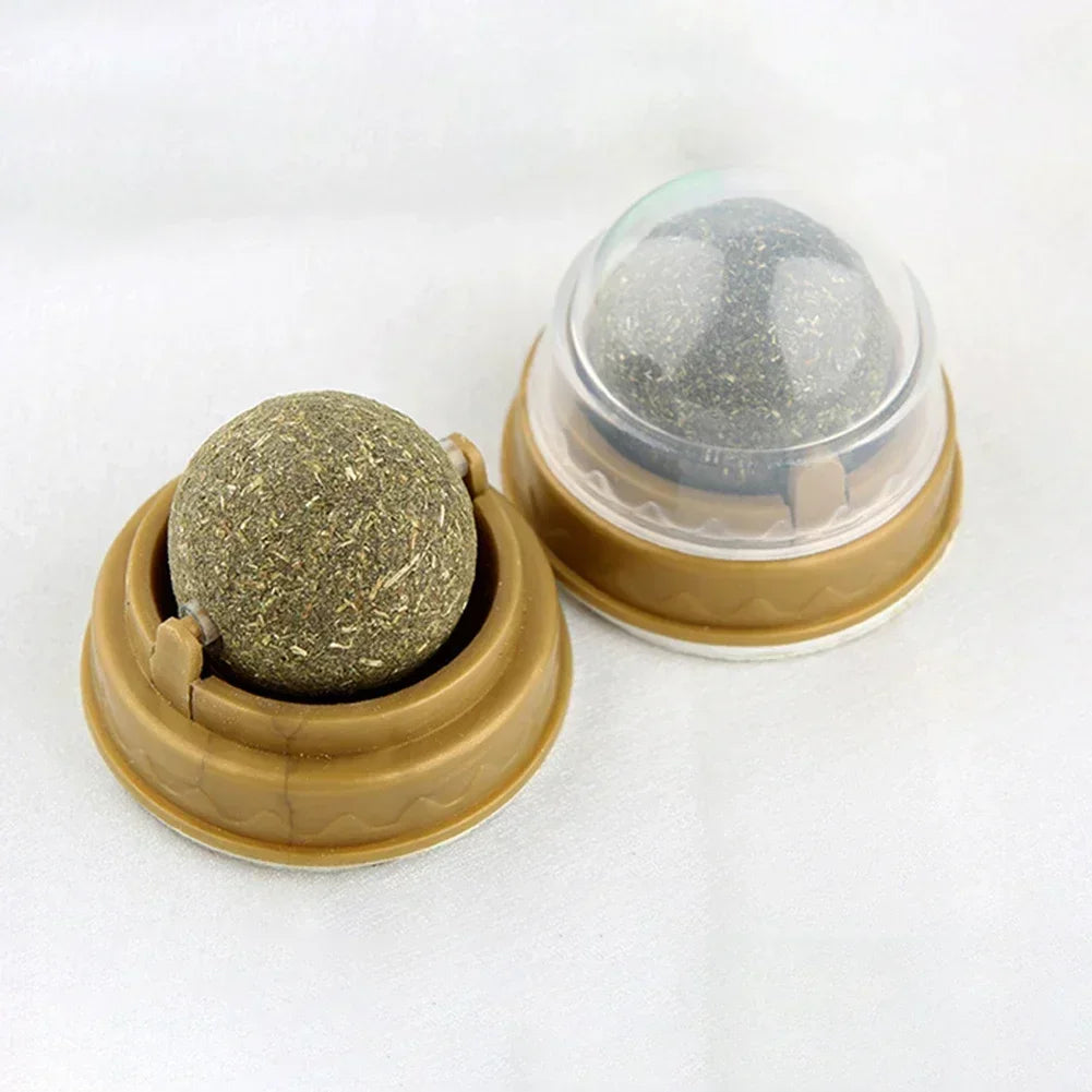 Edible Catnip Ball Toy – Interactive Treat for Cats