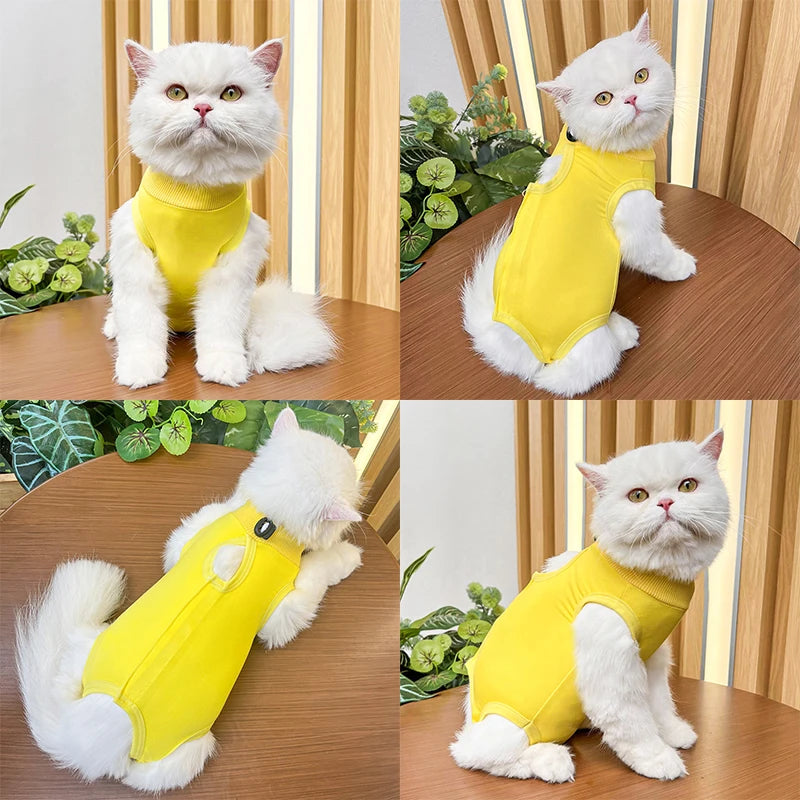 Pet Surgery Recovery Suit