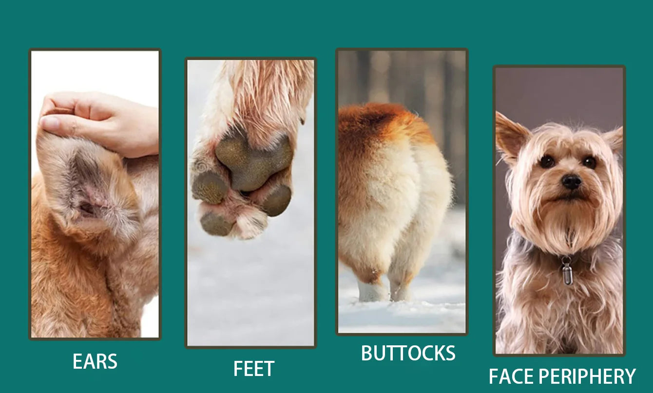 Professional Dog Hair Clipper – Silent USB Rechargeable Pet Grooming Tool