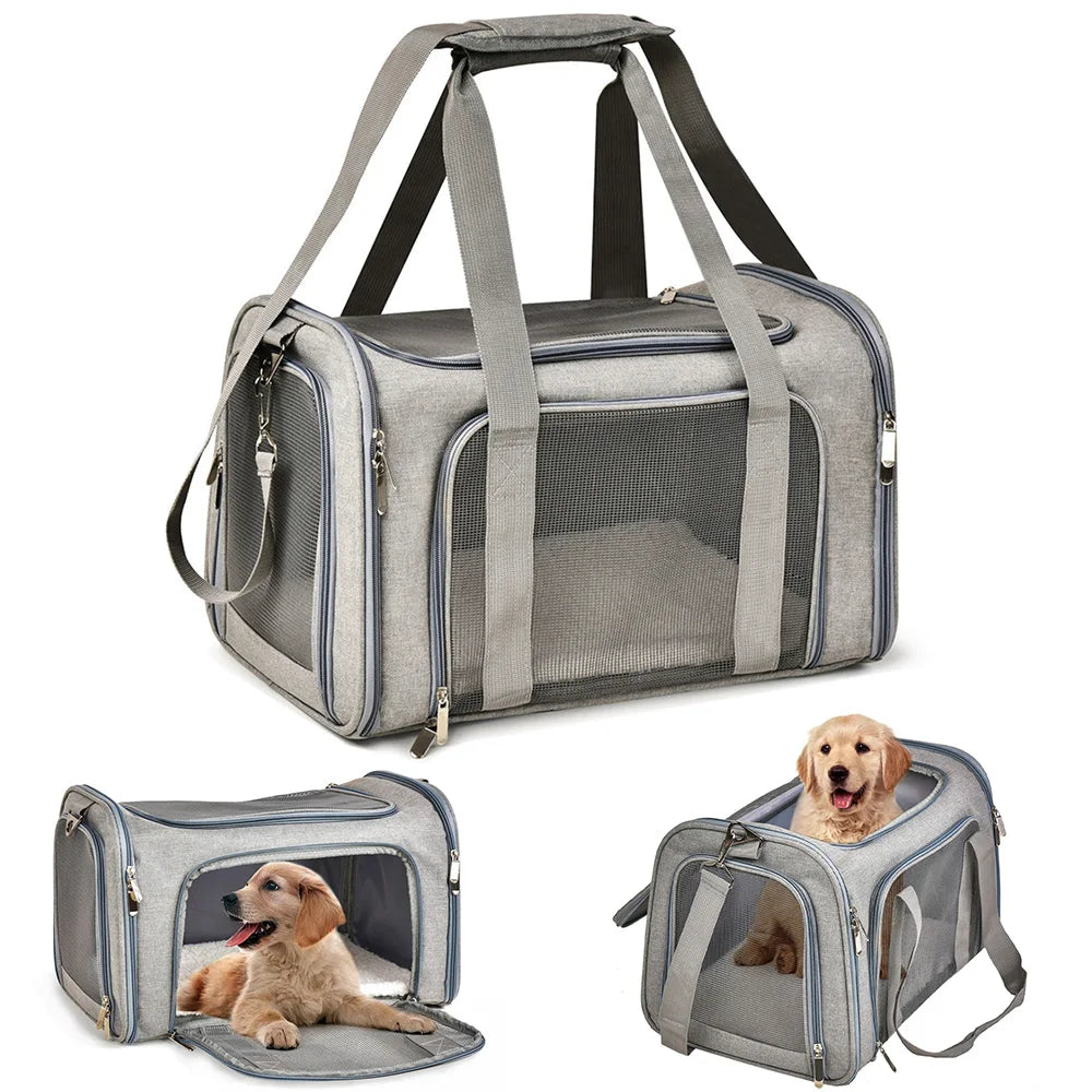 Airline-Approved Pet Carrier – Soft-Sided Dog & Cat Travel Backpack