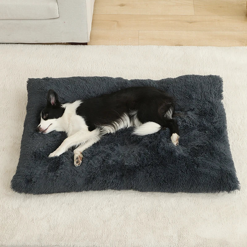 Plush Pet Bed – Soft Cushion & Basket for Dogs and Cats